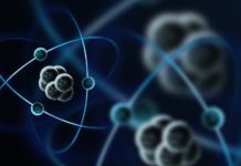 Создана система предугадывания поведения нейронных связей