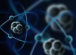 Создана система предугадывания поведения нейронных связей