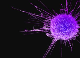 Ученые тестируют новые агенты-соединения для борьбы с раком