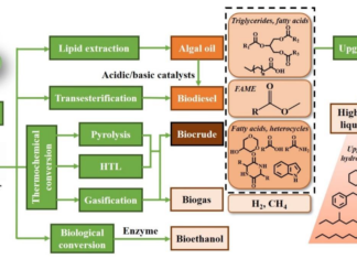 Ученые экспериментируют с созданием эффективного био-топлива