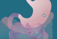 Ученые протестировали концепт “еженедельной” таблетки