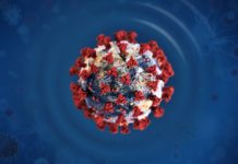 Австралийские ученые осуществляют наблюдение за следами COVID-19 в сточных водах