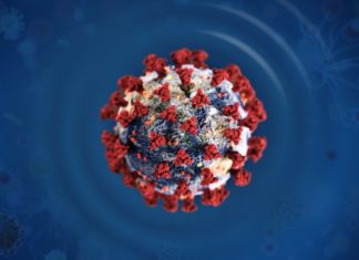 Австралийские ученые осуществляют наблюдение за следами COVID-19 в сточных водах