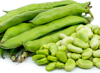 Фава-бобы могут стать лучшим заменителем сои
