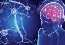 Кожица некоторых фруктов помогает при множественном склерозе