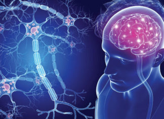 Кожица некоторых фруктов помогает при множественном склерозе