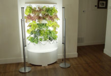 Садовая система iHarvest пополняется новыми особенностями