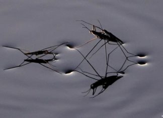 Саудовские инженеры разрабатывают новую систему навигации кораблей