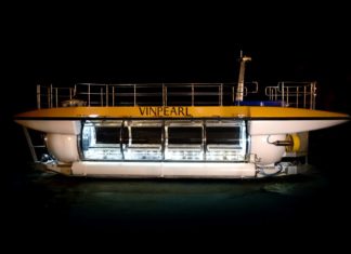 Triton выпускает новую подводную лодку туристического формата