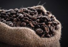 Инженеры из Сан Диего представили уникального робота-паука с адаптивными ногами