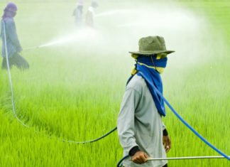 Проведение качественного анализа на пестициды