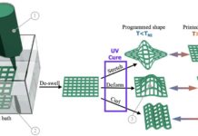 Ученые из Университета Райс представили новых мягких роботов