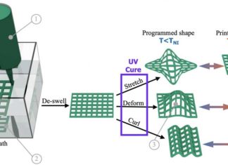 Ученые из Университета Райс представили новых мягких роботов