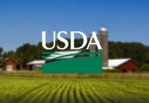 Министерство сельского хозяйства США отзывает большую партию говядины в связи с E. Coli