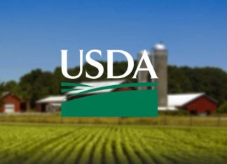 Министерство сельского хозяйства США отзывает большую партию говядины в связи с E. Coli