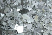 Микробиологи выявили бактерию, развивающуюся в марганце