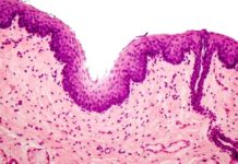 На борту МКС сумели получить человеческую ткань посредством биопечати