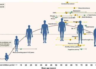 На риск-факторы развития деменции можно повлиять