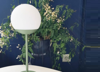 Представлен прототип автономной лампы для природы