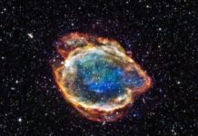 Древняя сверхновая могла стать причиной Девонского вымирания на Земле