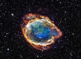 Древняя сверхновая могла стать причиной Девонского вымирания на Земле