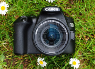 Canon интегрирует быструю загрузку фото в Google Photos