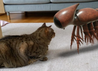 Google внедряет новое обновление для платформы Arts&Culture