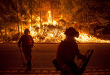 Microsoft будет помогать правительству разрабатывать систему по предугадыванию и борьбе со стихийными бедствиями