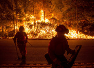 Microsoft будет помогать правительству разрабатывать систему по предугадыванию и борьбе со стихийными бедствиями