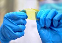 Техасские инженеры создали новый класс самовосстанавливающихся полимеров