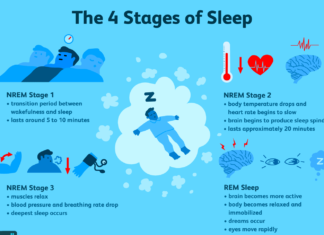 Изменение паттернов фазы быстрого сна может изменить пищевые привычки