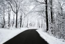 Гибернация может быть механизмом более древним, чем предполагалось