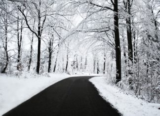 Гибернация может быть механизмом более древним, чем предполагалось