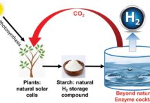 Ученые создали уникальный энзимный коктейль для борьбы с пластиком