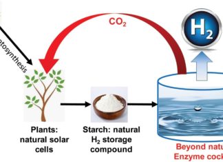 Ученые создали уникальный энзимный коктейль для борьбы с пластиком