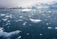 Арктический лёд стал таять намного быстрее: исследование