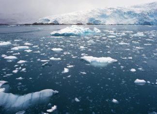 Арктический лёд стал таять намного быстрее: исследование