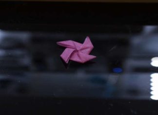 В Гарварде создали необычный шерстяной материал с эффектом памяти