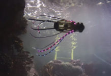 Изобретён мягкий робот для изучения морских глубин