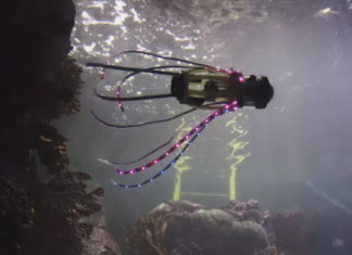 Изобретён мягкий робот для изучения морских глубин