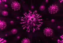 Оксфордский университет рассказал об успехах в разработке вакцины от COVID-19