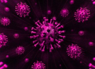 Оксфордский университет рассказал об успехах в разработке вакцины от COVID-19