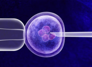 Ученые предложили генный способ устранения синдрома доминантной оптической атрофии
