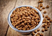 Комиссия FDA отзывает собачью еду от компании Albright’s Raw Dog Food
