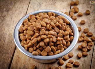 Комиссия FDA отзывает собачью еду от компании Albright’s Raw Dog Food