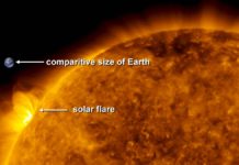 Солнечная вспышечная активность может не препятствовать развитию жизни