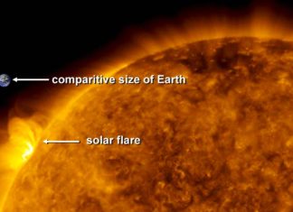 Солнечная вспышечная активность может не препятствовать развитию жизни
