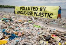 Ученые нашли новый способ эффективно переработать пластик