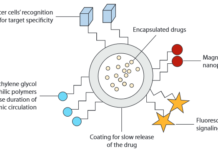 Немецкие ученые создали новый тип наночастиц-доставщиков медикаментов