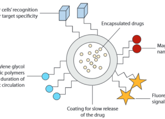 Немецкие ученые создали новый тип наночастиц-доставщиков медикаментов